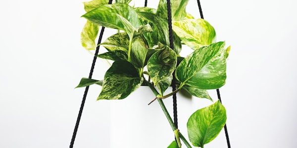 英格兰足球超级联赛回放 - 英超联赛比赛精彩瞬间